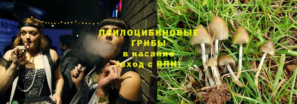 PSILOCYBIN Абдулино