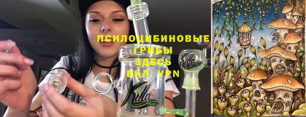 PSILOCYBIN Абдулино