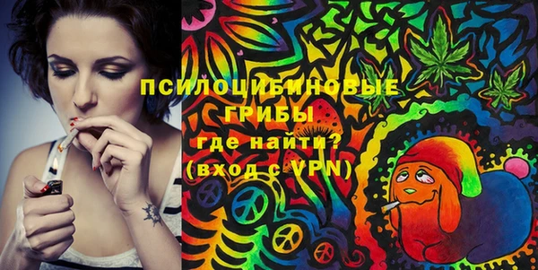 PSILOCYBIN Абдулино